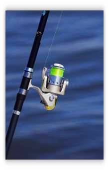 Texas fishing charters