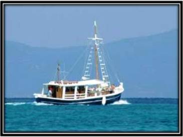 Texas fishing charters